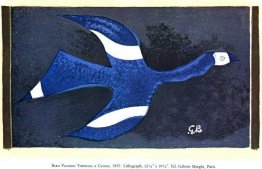 En fågel som passerar genom ett moln En fågel som passerar genom ett moln