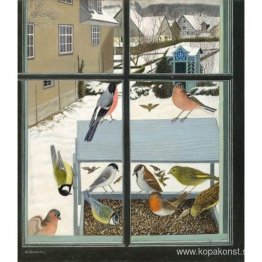 Fåglar på Riser Fåglar på Riser