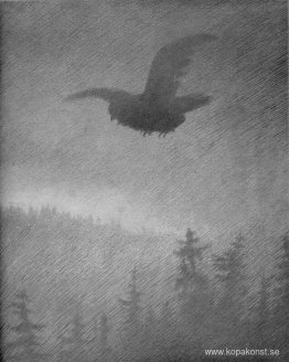 Coughkveld Coughkveld