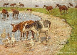 Den stora reservoaren, Saltholm Den stora reservoaren, Saltholm