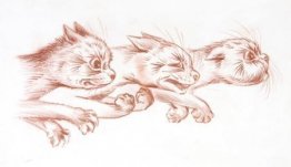 EN GALEN RUSH EN GALEN RUSH