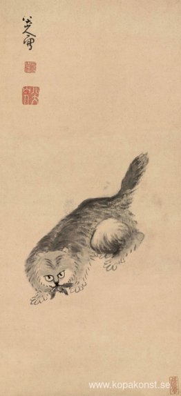 Katt och fjäril Katt och fjäril