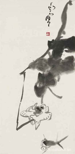 Fisk och Lotus Fisk och Lotus