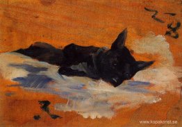 Lilla hund Lilla hund