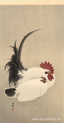 Tupp och höna Tupp och höna