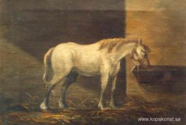 Häst i ladan Häst i ladan