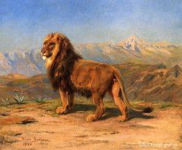 Lejon i ett bergigt landskap Lejon i ett bergigt landskap