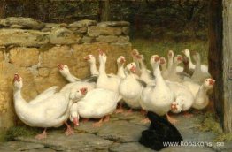 Ett oroligt ögonblick Ett oroligt ögonblick