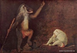 Pavian och Albino Makake Pavian och Albino Makake