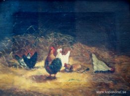 Kycklingar Kycklingar