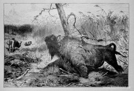 Trädgårdsbersån Trädgårdsbersån