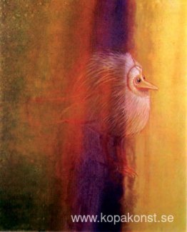 Fågel som upplever ljus Fågel som upplever ljus