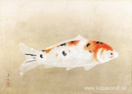 Higoi (röd karp) Higoi (röd karp)