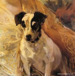 Porträtt av en Jack Russell Porträtt av en Jack Russell