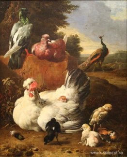 Den vita hönan Den vita hönan