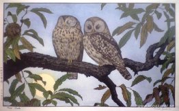 Två ugglor Två ugglor