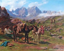 Pyrenéerna Pyrenéerna