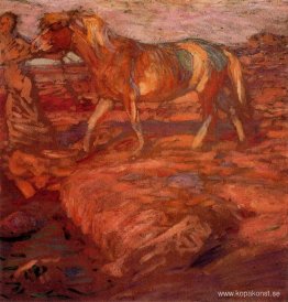 Kvinna och häst Kvinna och häst