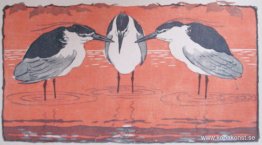 Natthäger Natthäger