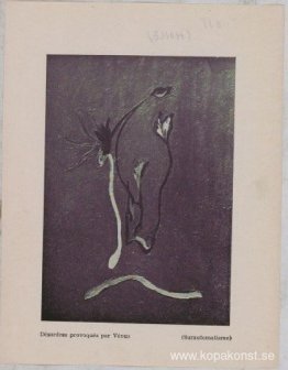 Störningar provocerade av Venus (surautomatism) Störningar provocerade av Venus (surautomatism)