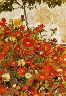 Fält av blommor Fält av blommor