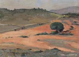 En kvinnlig kock En kvinnlig kock