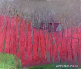 Halvt gömd Halvt gömd