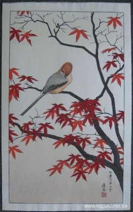 Årstidernas fåglar - Höst Årstidernas fåglar - Höst