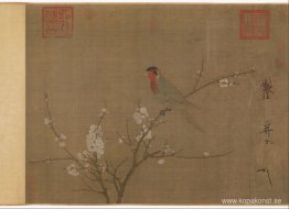 Femfärgad parakit på ett blommande aprikosträd Femfärgad parakit på ett blommande aprikosträd