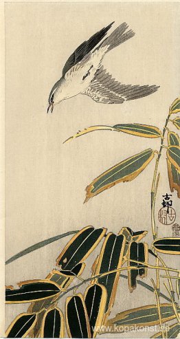 Vete och bambu Vete och bambu