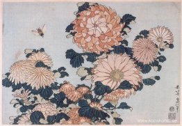 Krysantemum och häst Krysantemum och häst