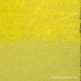 Fält: Ärr Fält: Ärr