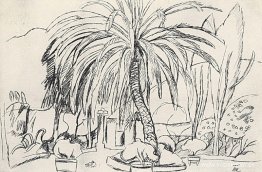Spanskt landskap. Palm. Spanskt landskap. Palm.