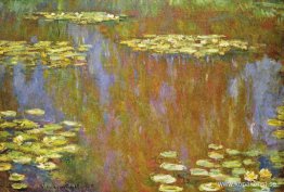 Näckrosor Näckrosor