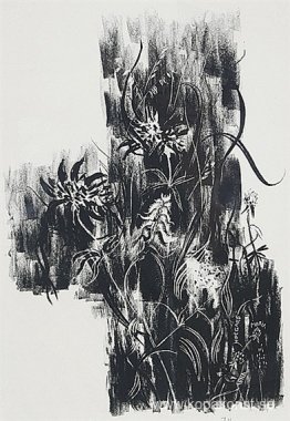 Skogskantsblommor Skogskantsblommor