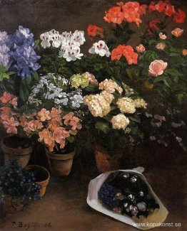 Studie av blommor Studie av blommor