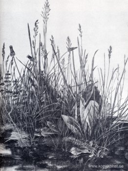 Stor bit av torv studie av ogräs Stor bit av torv studie av ogräs