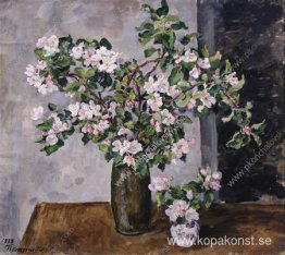 Äppelkvistar i blom Äppelkvistar i blom