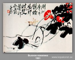 Bindweed, dodder Bindweed, dodder