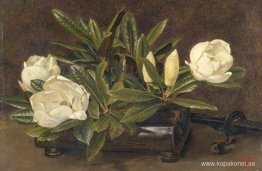 Magnolior Magnolior