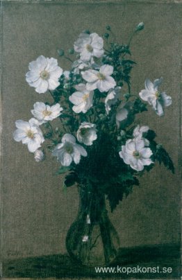 Japanska anemoner Japanska anemoner
