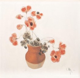 Majsvallmo Majsvallmo