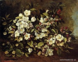 Gren av äppelblommor Gren av äppelblommor