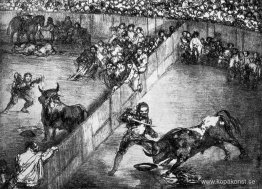 Den delade arenan Den delade arenan