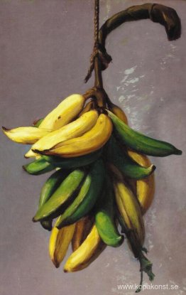 Gula bananer 1893 Gula bananer 1893