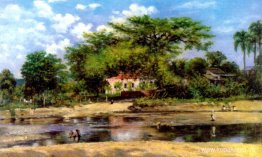 A paineira de Ponce - La ceiba de Ponce A paineira de Ponce - La ceiba de Ponce