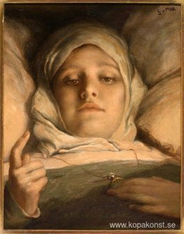 Oh man, akta dig 1895 Oh man, akta dig 1895