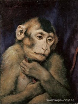 Modell Laura Modell Laura