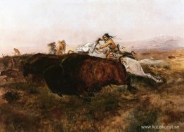 Buffeljakt #10 Buffeljakt #10