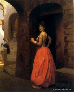 Kvinna från Kairo som röker en cigarett Kvinna från Kairo som röker en cigarett